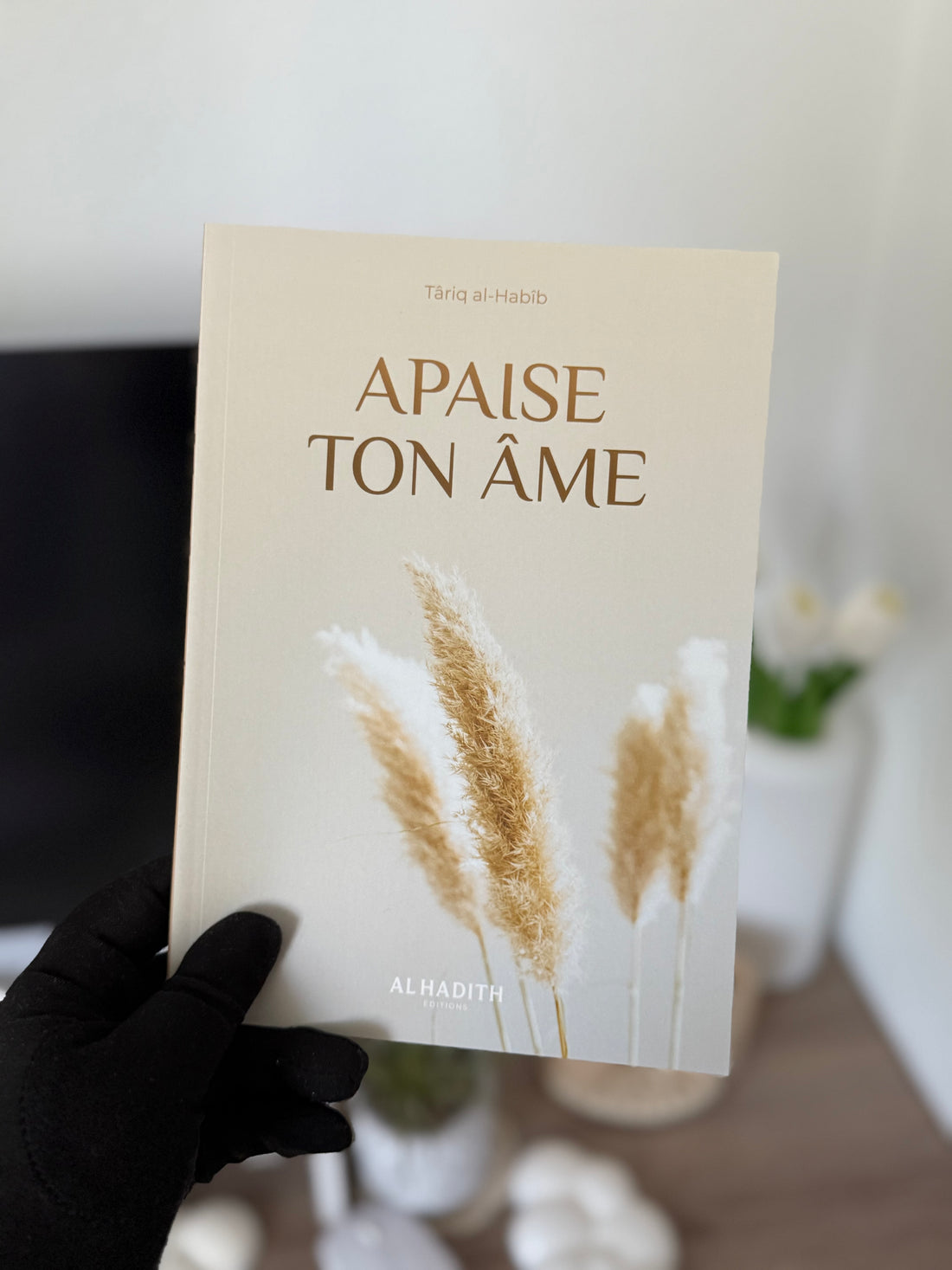 Soothe your soul - Târiq al-Habîb - Al-Hadîth editions